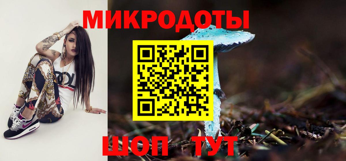 Псилоцибиновые грибы мухоморы Димитровград